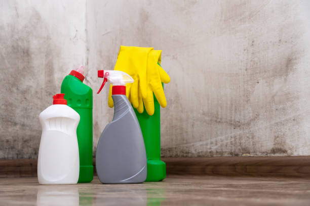 Calvert, TX Mold Removal Company